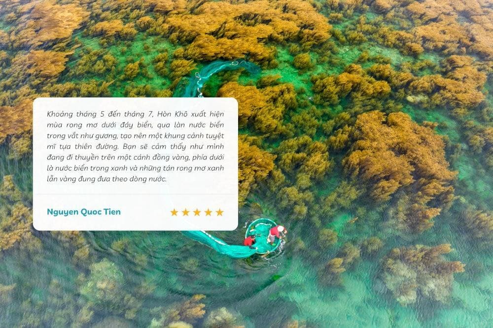 Trải nghiệm lặn biển để chiêm ngưỡng những rạn rong mơ muôn màu lung linh dưới lòng biển sâu (Nguồn: Internet)